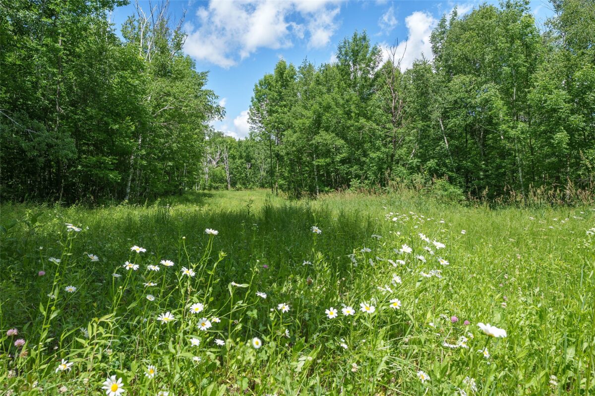 Vacant Lot on Sunset Drive, Thorp WI 54771 - Land house for sale - MLS #1602420 - image2