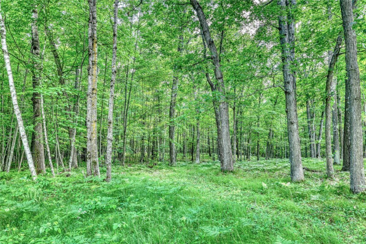 W 8009 Fox Road, Spooner WI 54801 - Land house for sale - MLS #1602469 - image27