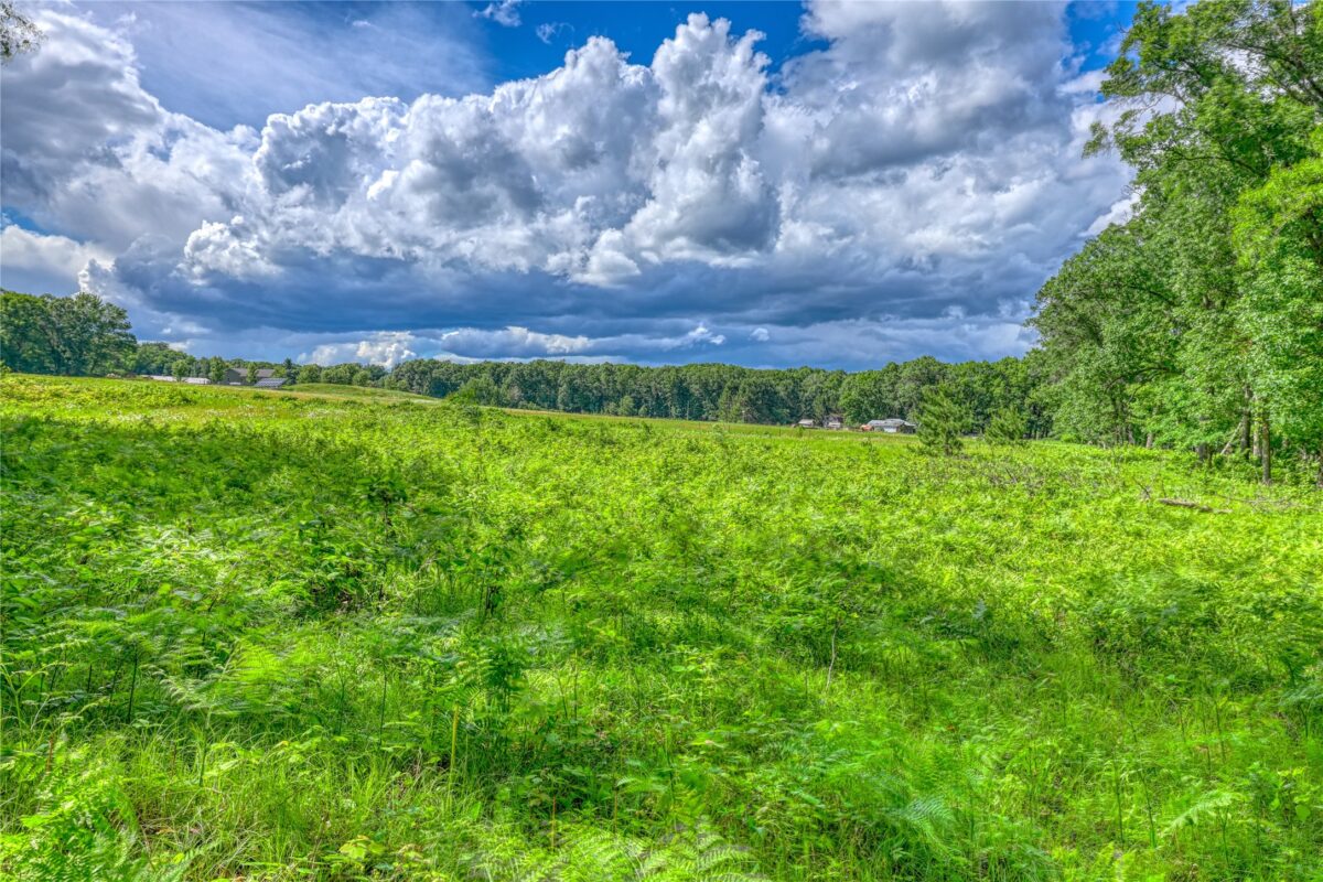 W 8009 Fox Road, Spooner WI 54801 - Land house for sale - MLS #1602469 - image29
