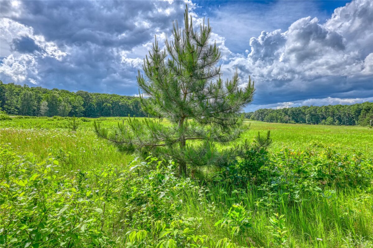 W 8009 Fox Road, Spooner WI 54801 - Land house for sale - MLS #1602469 - image31