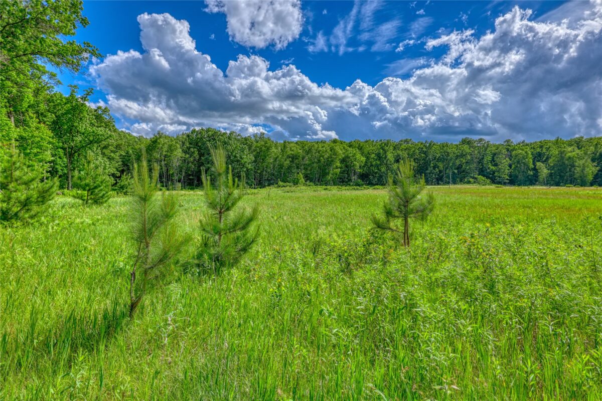 W 8009 Fox Road, Spooner WI 54801 - Land house for sale - MLS #1602469 - image32