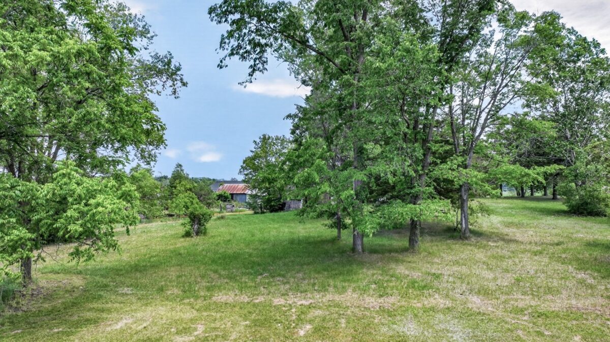 W10104 County Road O, Black River Falls WI 54615 - Residential house for sale - MLS #1602185 - image41