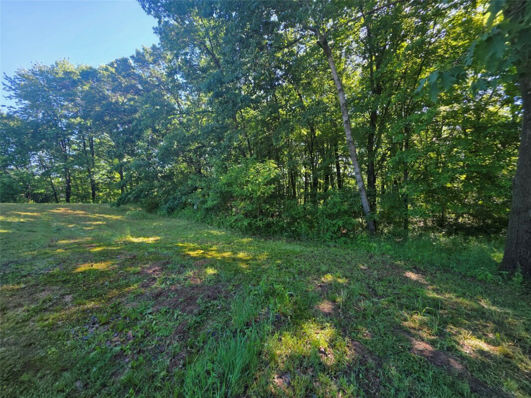 W10306 Prindle Road, Merrillan WI 54754 - Land house for sale - MLS #1602022 - image4