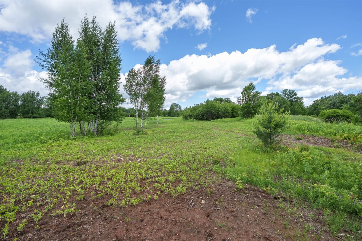 W13775 Shiner Drive, Lublin WI 54447 - Land house for sale - MLS #1602423 - image2