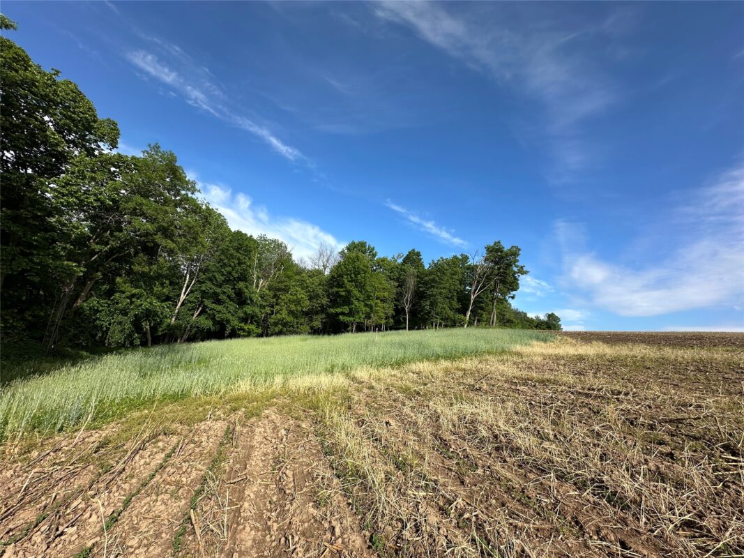 W325 50TH Avenue, Plum City WI 54761 - Land house for sale - MLS #1602013 - image11