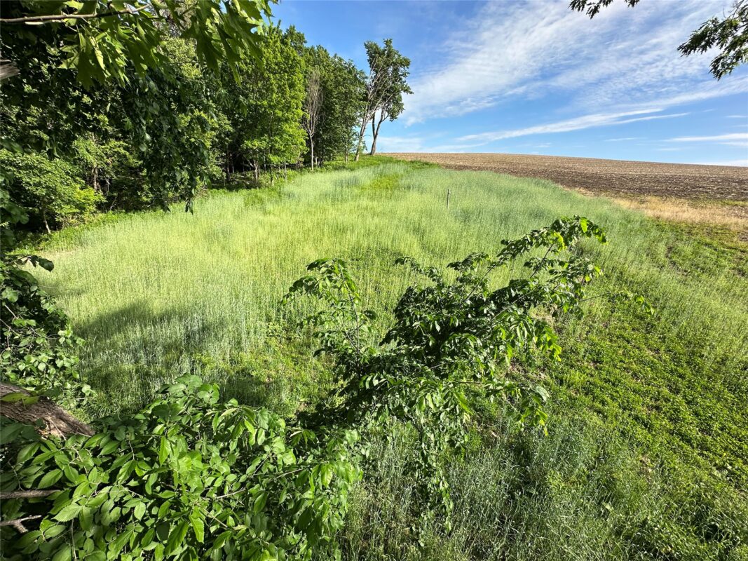 W325 50TH Avenue, Plum City WI 54761 - Land house for sale - MLS #1602013 - image14