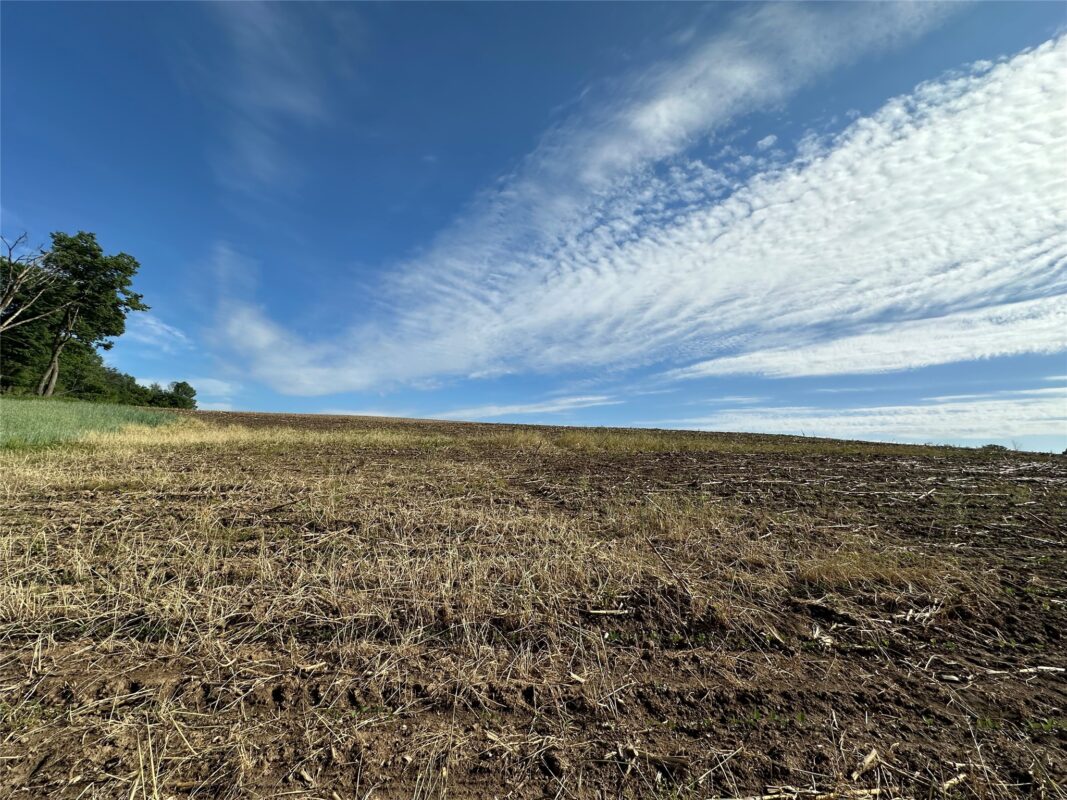 W325 50TH Avenue, Plum City WI 54761 - Land house for sale - MLS #1602013 - image18