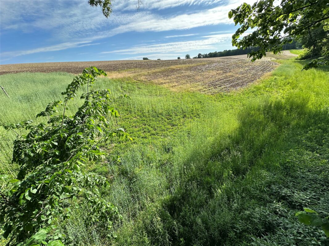 W325 50TH Avenue, Plum City WI 54761 - Land house for sale - MLS #1602013 - image21