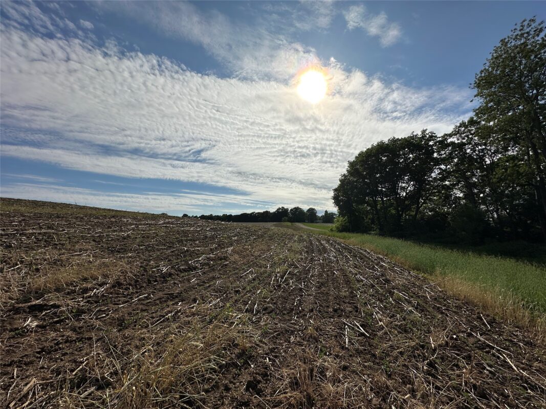 W325 50TH Avenue, Plum City WI 54761 - Land house for sale - MLS #1602013 - image27