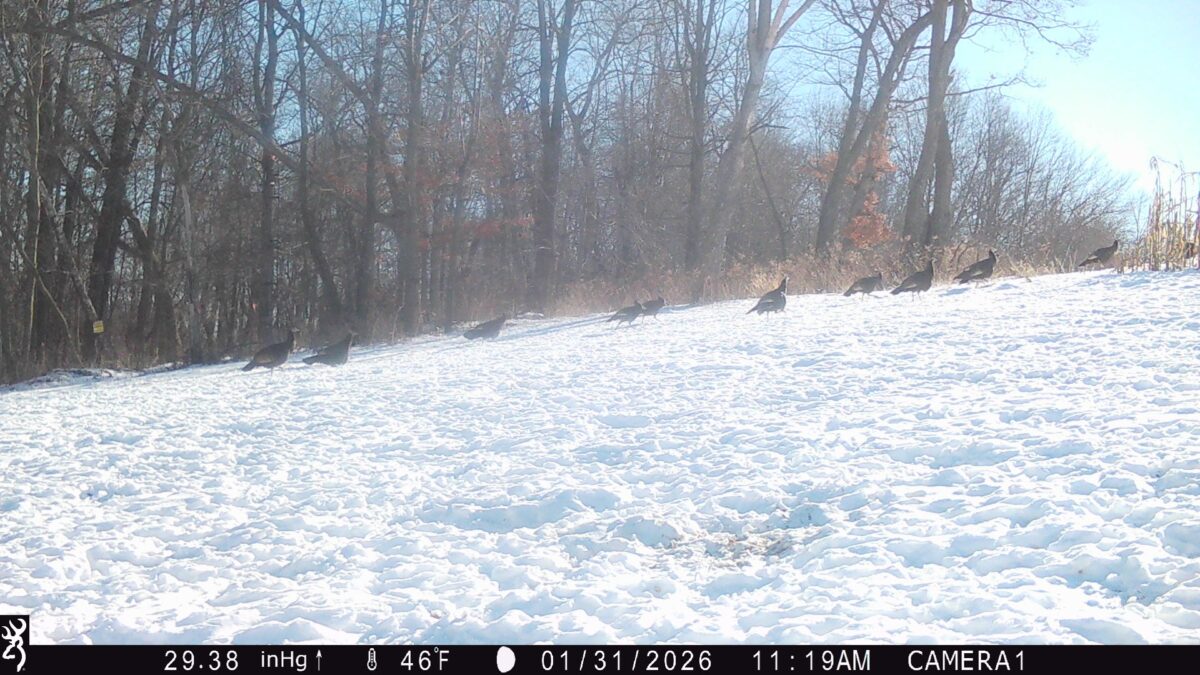W325 50TH Avenue, Plum City WI 54761 - Land house for sale - MLS #1602013 - image28