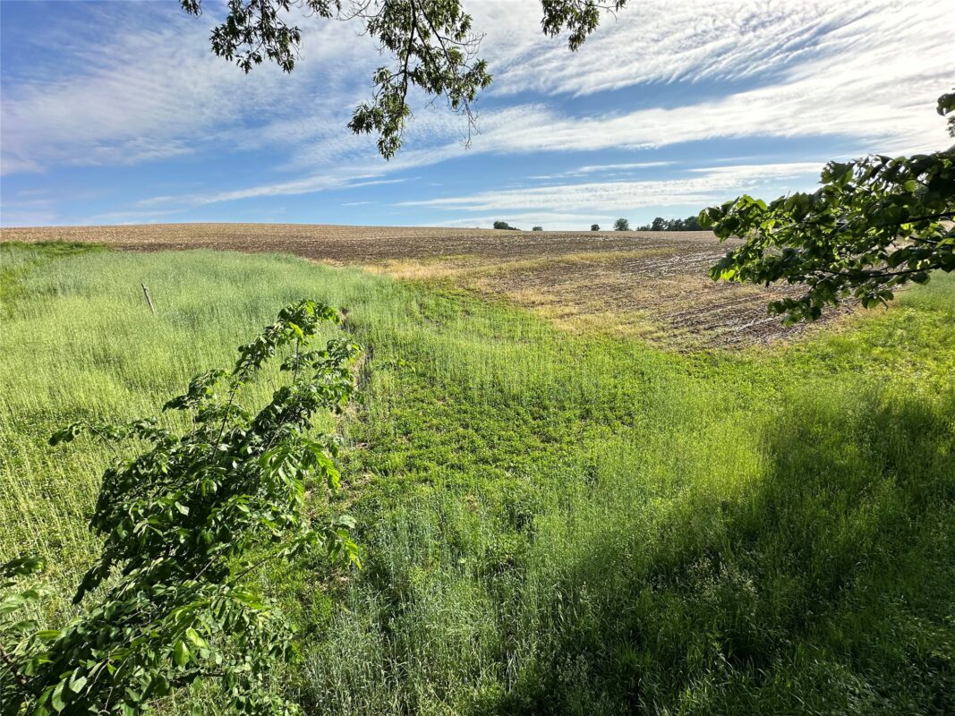 W325 50TH Avenue, Plum City WI 54761 - Land house for sale - MLS #1602013 - image10