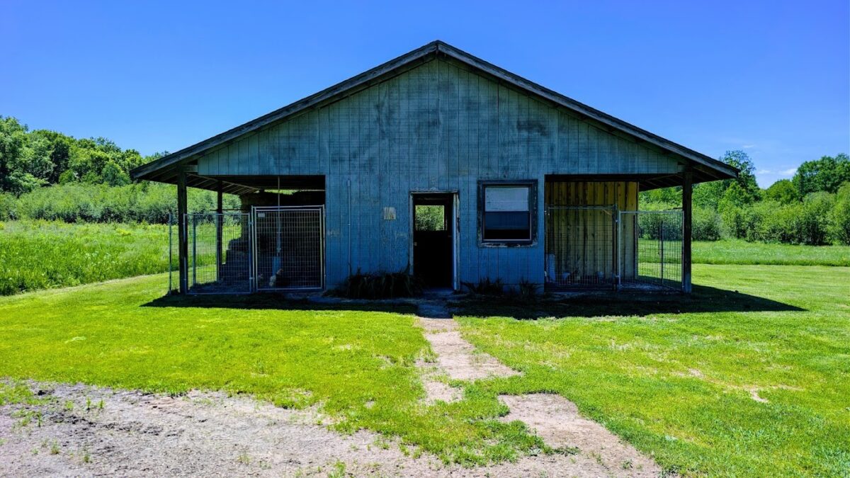 W4241 Walrath Road, Glen Flora WI 54526 - Residential house for sale - MLS #1601860 - image32