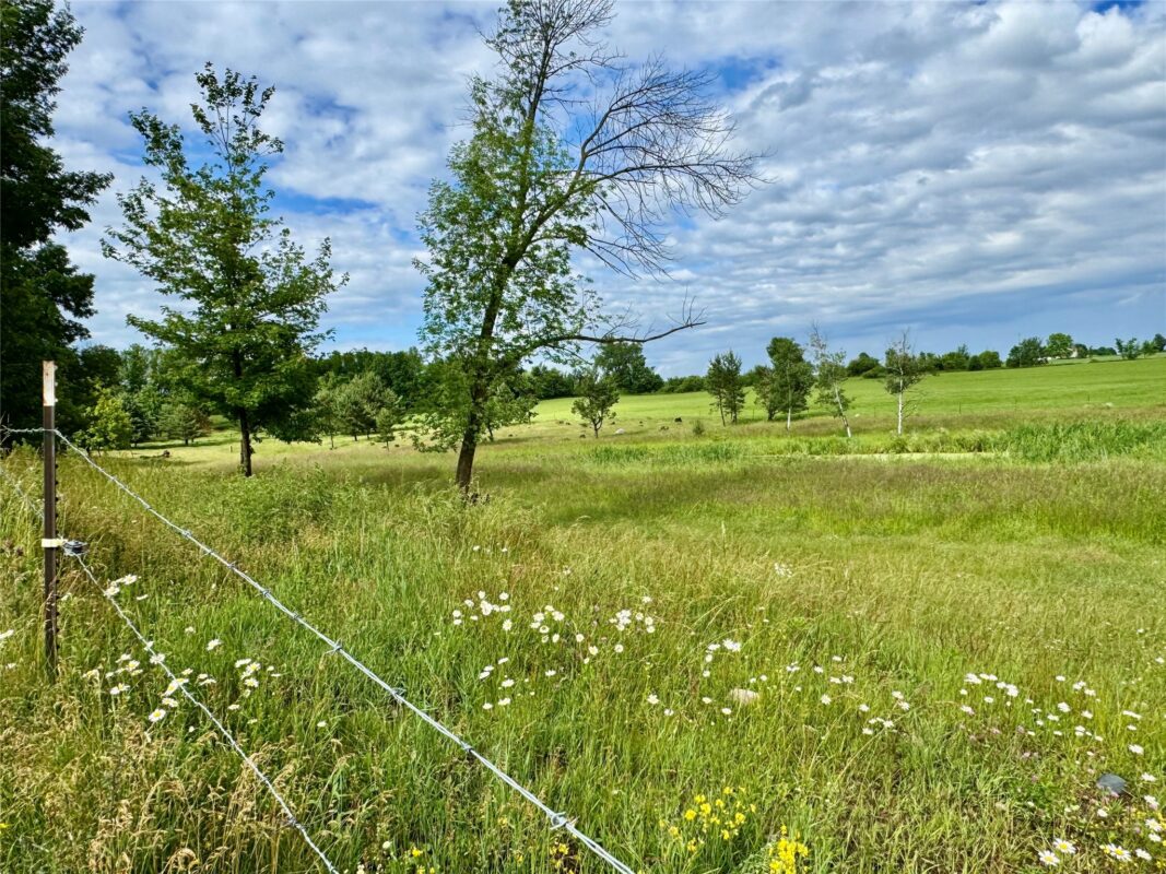 W6952 Main Street, Conrath WI 54731 - Residential house for sale - MLS #1602369 - image35