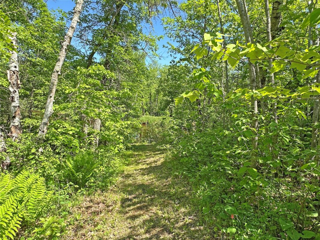 W9134 Chipmunk Trail, Trego WI 54888 - Residential house for sale - MLS #1601912 - image19