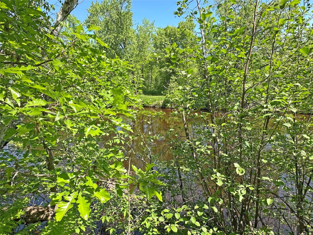 W9134 Chipmunk Trail, Trego WI 54888 - Residential house for sale - MLS #1601912 - image20