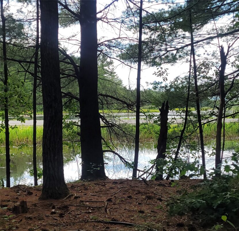 W9264 US Highway 12, Black River Falls WI 54615 - Residential house for sale - MLS #1602607 - image32