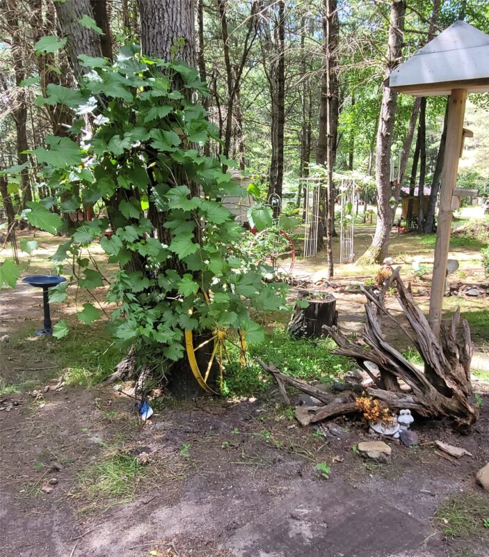 W9264 US Highway 12, Black River Falls WI 54615 - Residential house for sale - MLS #1602607 - image38