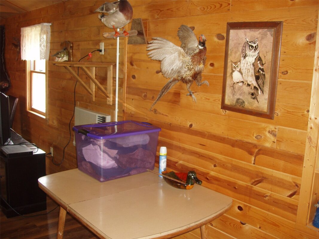 W9798 Fleming Road, Park Falls WI 54552 - Residential house for sale - MLS #1600486 - image23