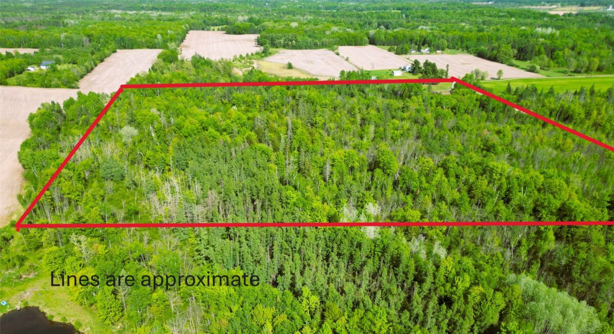 W9902 Flohr Road, Ladysmith WI 54848 - Residential house for sale - MLS #1601560 - image38