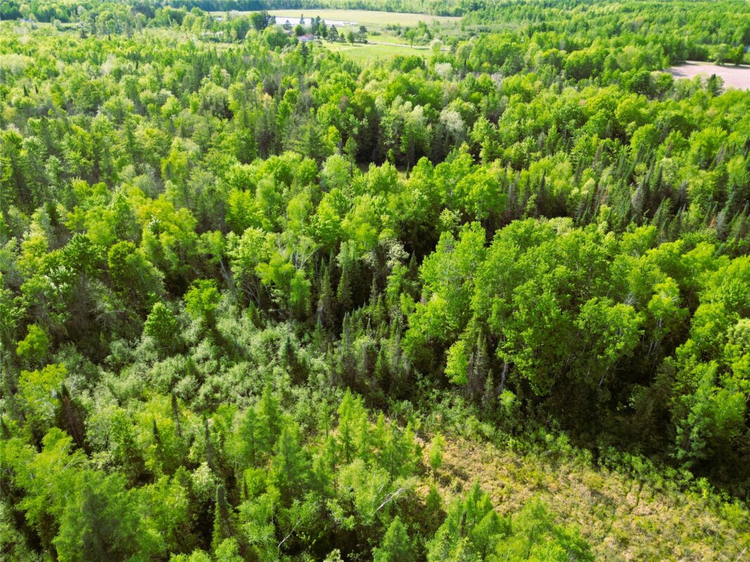 W9902 Flohr Road, Ladysmith WI 54848 - Residential house for sale - MLS #1601560 - image45