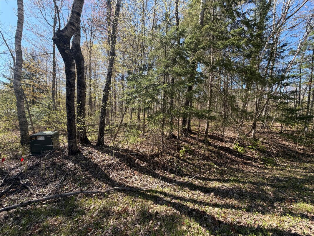 XX 28 3/8 Street, Birchwood WI 54817 - Land house for sale - MLS #1600920 - image4