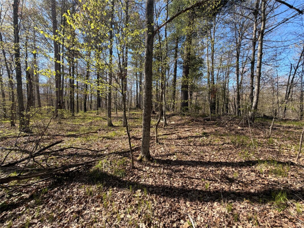 XX 28 3/8 Street, Birchwood WI 54817 - Land house for sale - MLS #1600920 - image5