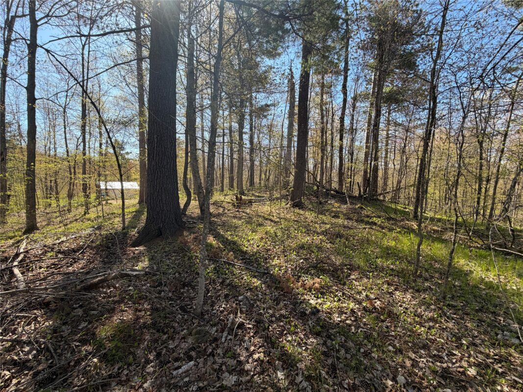 XX 28 3/8 Street, Birchwood WI 54817 - Land house for sale - MLS #1600920 - image6