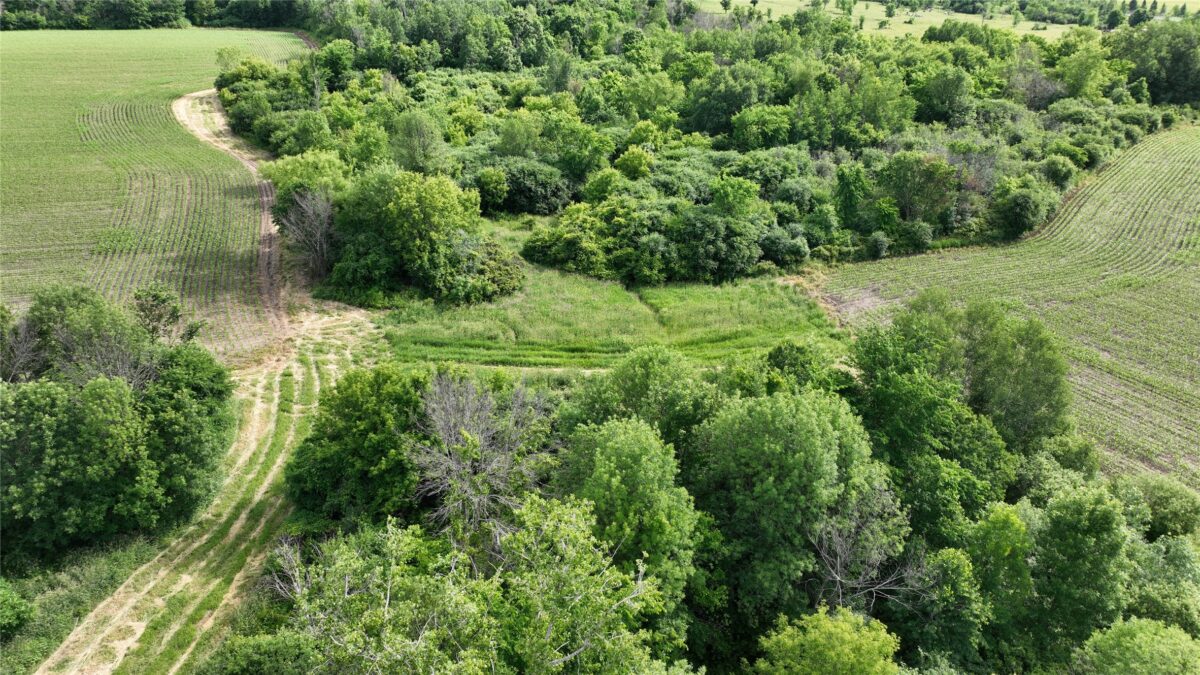XX County Rd BB, Baldwin WI 54002 - Land house for sale - MLS #1602567 - image23