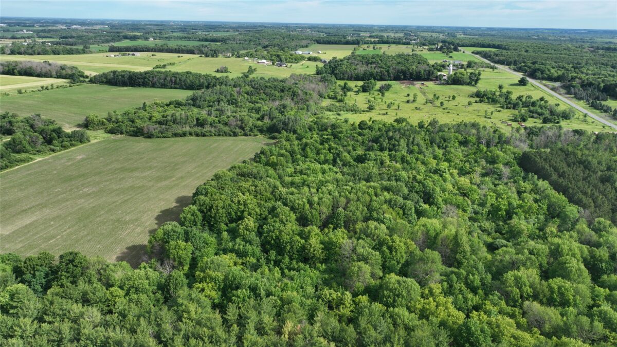 XX County Road BB, Baldwin WI 54002 - Land house for sale - MLS #1602567 - image11