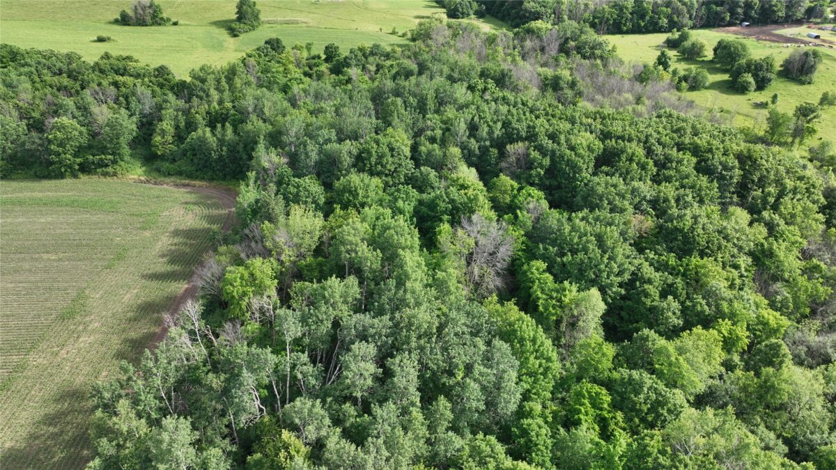 XX County Road BB, Baldwin WI 54002 - Land house for sale - MLS #1602567 - image3