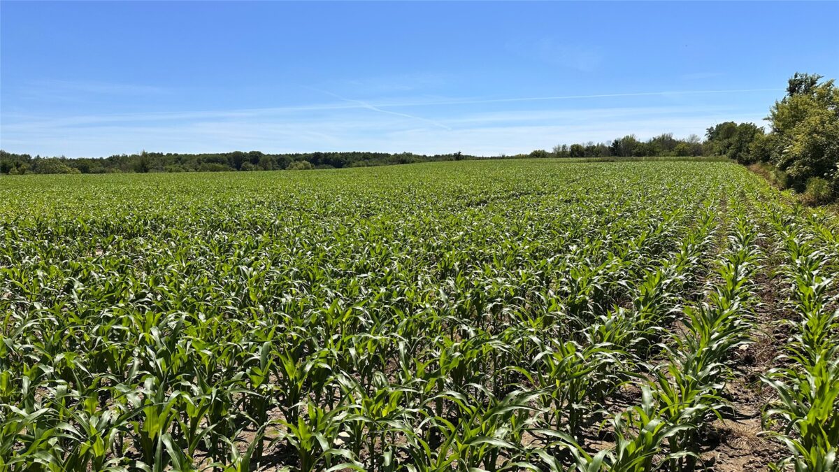 XX County Road BB, Baldwin WI 54002 - Land house for sale - MLS #1602567 - image30