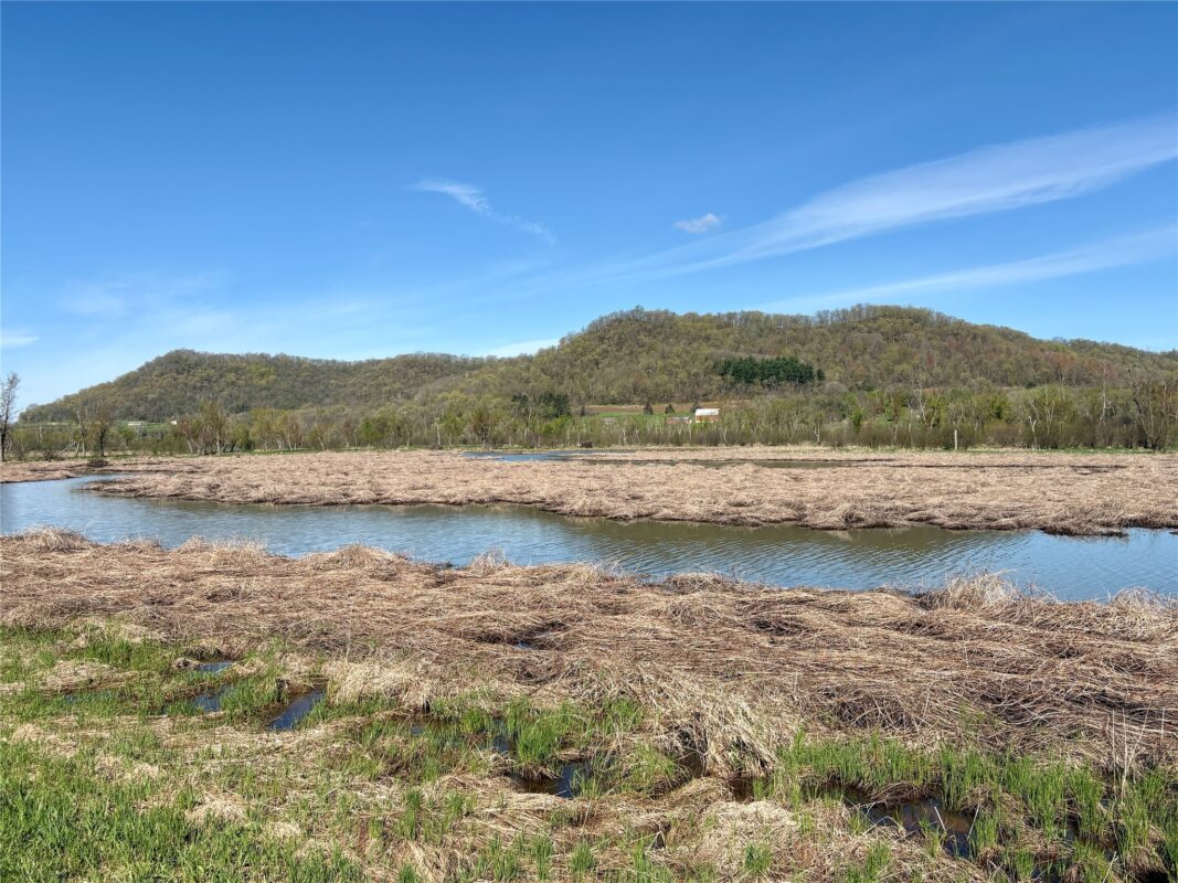 XX Highway 37, Alma WI 54610 - Land house for sale - MLS #1600597 - image11