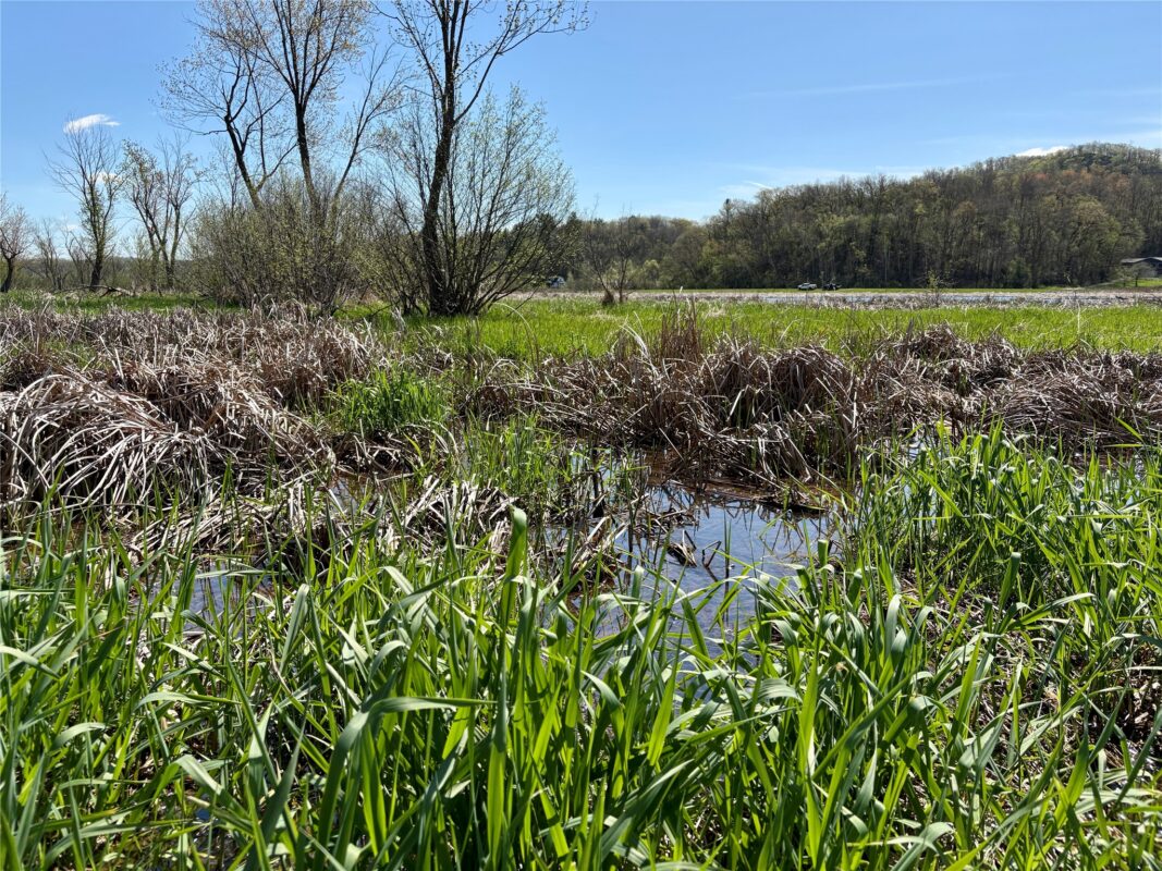 XX Highway 37, Alma WI 54610 - Land house for sale - MLS #1600597 - image32