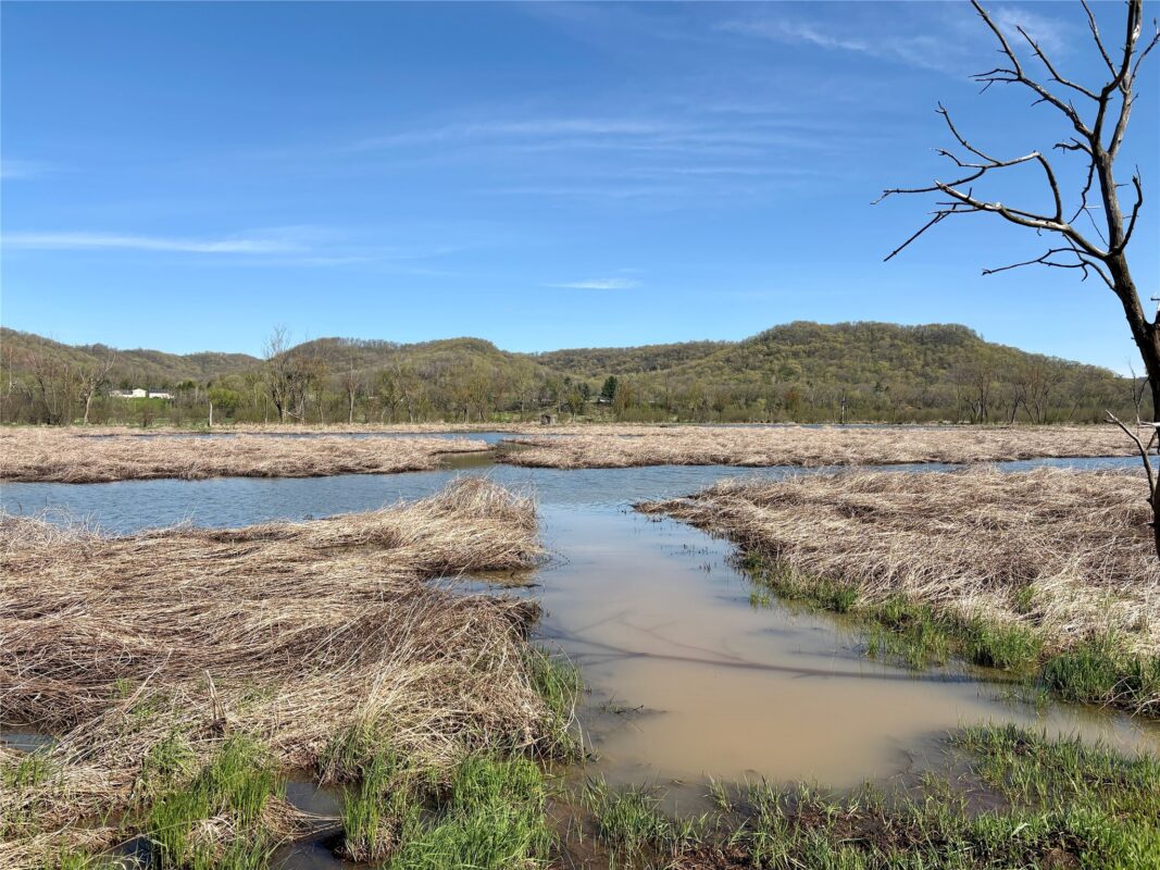 XX Highway 37, Alma WI 54610 - Land house for sale - MLS #1600597 - image36