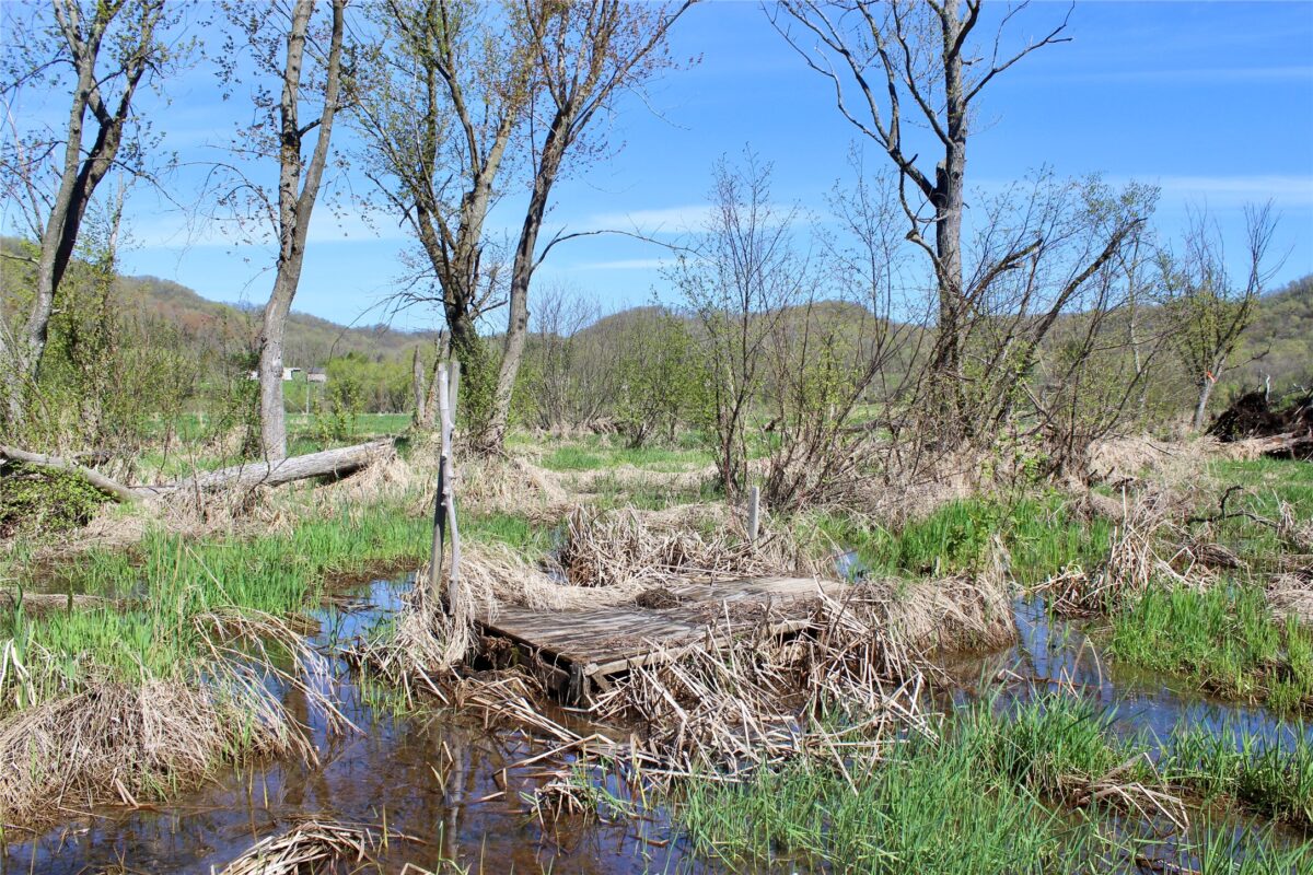 XX Highway 37, Alma WI 54610 - Land house for sale - MLS #1600597 - image39