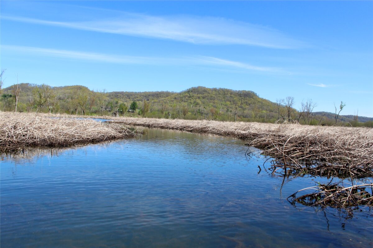 XX Highway 37, Alma WI 54610 - Land house for sale - MLS #1600597 - image10