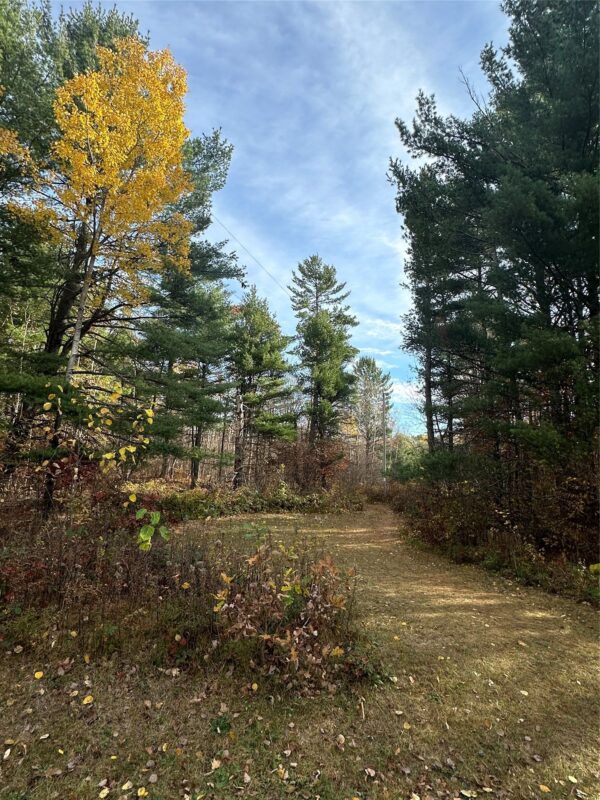 XX Shore Drive, Springbrook WI 54875 - Land house for sale - MLS #1602477 - image2