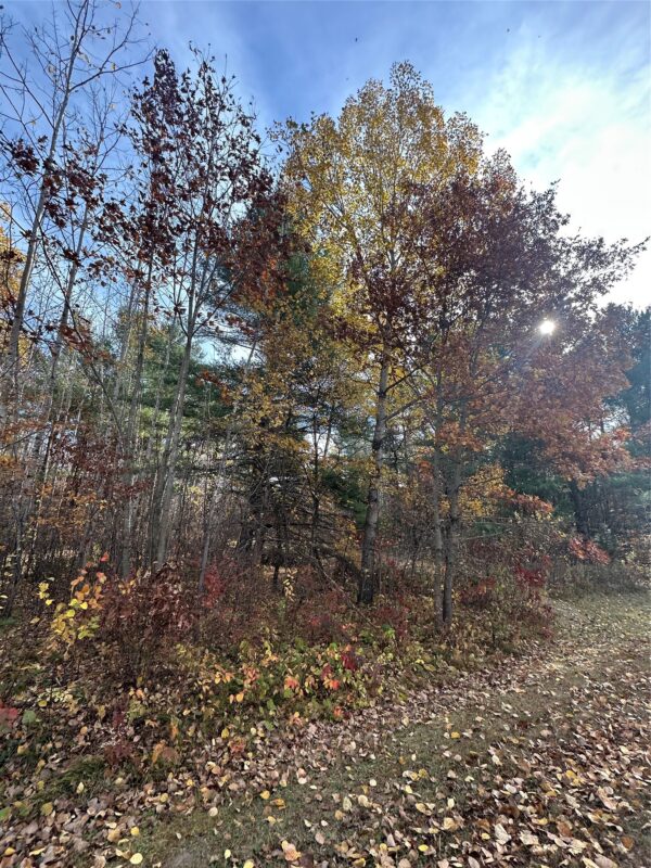 XX Shore Drive, Springbrook WI 54875 - Land house for sale - MLS #1602477 - image3