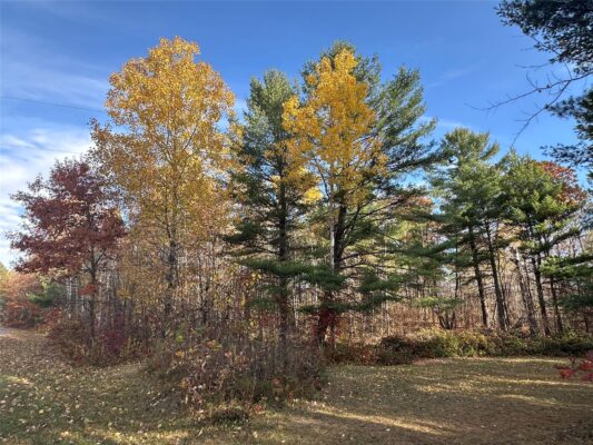 XX Shore Drive  Springbrook WI 54875