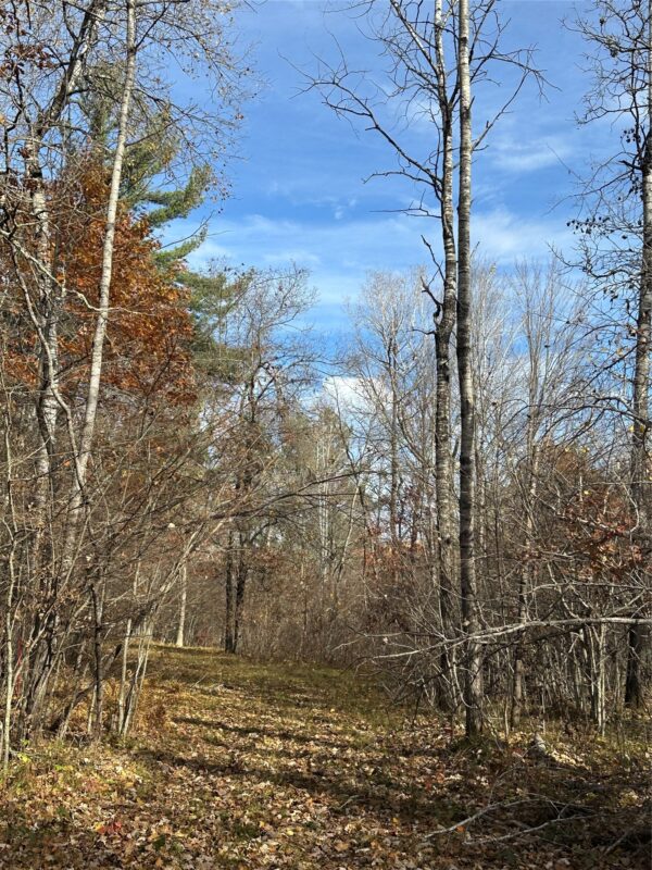 XX Shore Drive, Springbrook WI 54875 - Land house for sale - MLS #1602477 - image7