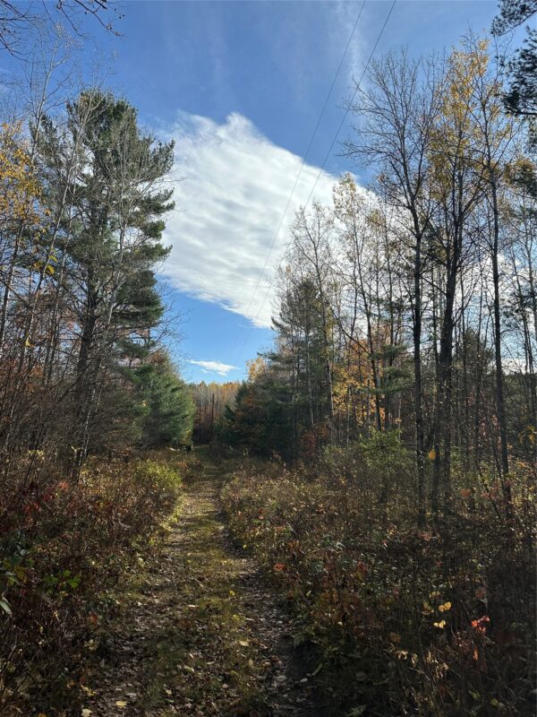 XX Shore Drive, Springbrook WI 54875 - Land house for sale - MLS #1602477 - image8