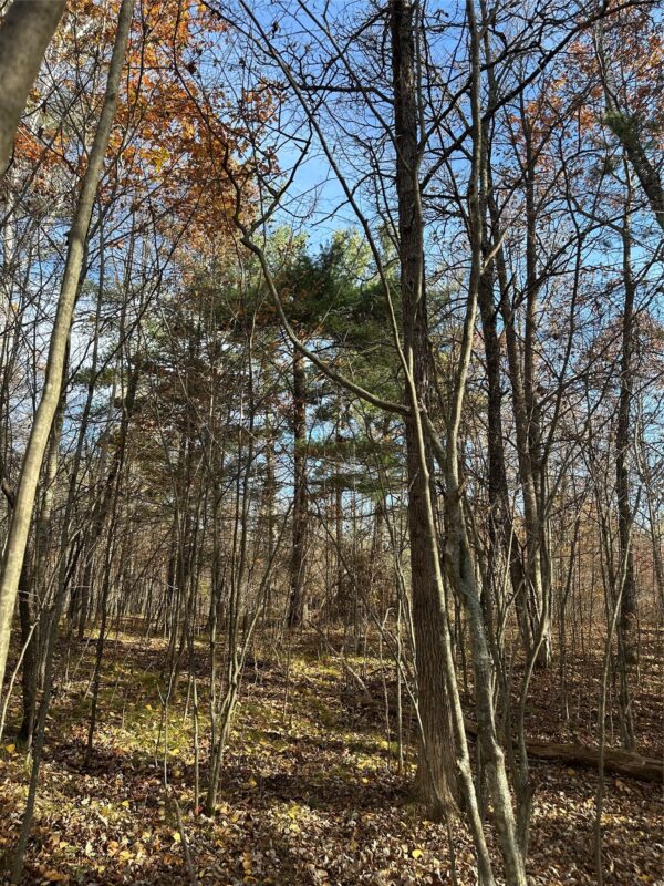 XX Shore Drive, Springbrook WI 54875 - Land house for sale - MLS #1602477 - image10