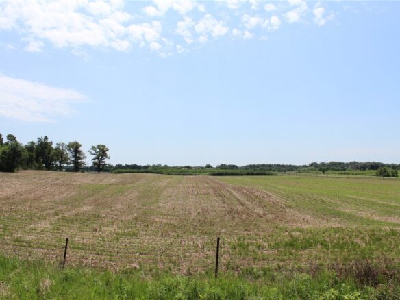 XXX Highway 87/Bucklund Road, Grantsburg WI 54840 - Land house for sale - MLS #1598049 - image1