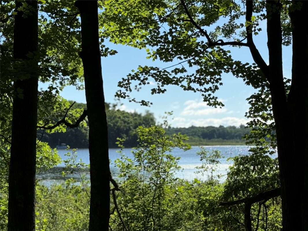 XXX Sathre Lane, Shell Lake WI 54871 - Land house for sale - MLS #1602131 - image12