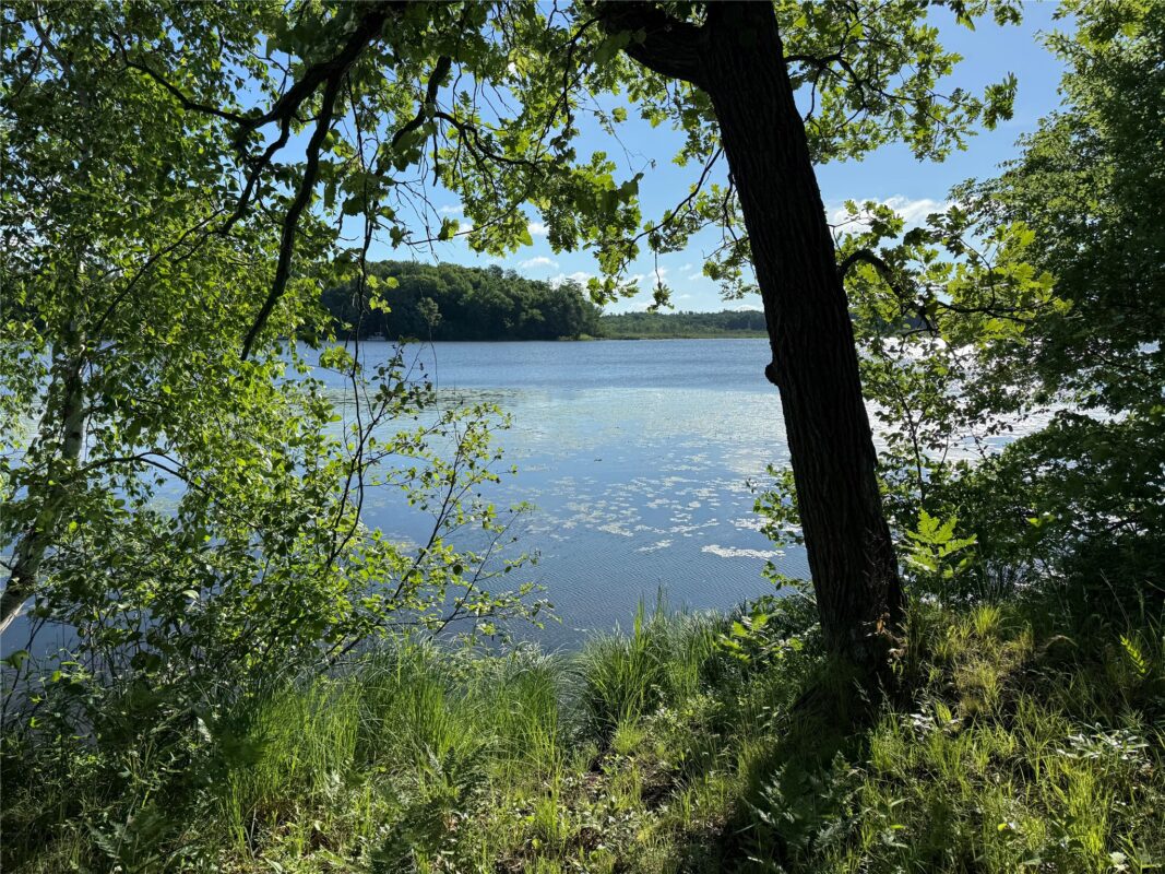 XXX Sathre Lane, Shell Lake WI 54871 - Land house for sale - MLS #1602131 - image14
