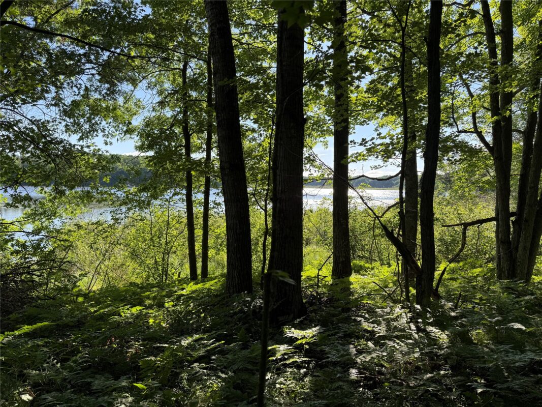 XXX Sathre Lane, Shell Lake WI 54871 - Land house for sale - MLS #1602131 - image15
