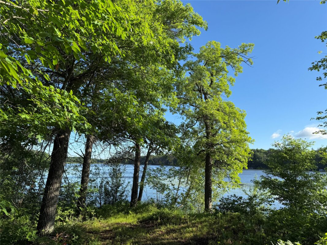 XXX Sathre Lane, Shell Lake WI 54871 - Land house for sale - MLS #1602131 - image17