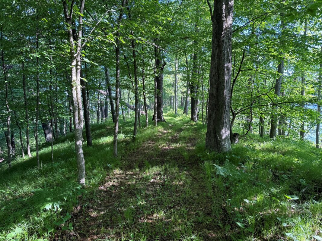 XXX Sathre Lane, Shell Lake WI 54871 - Land house for sale - MLS #1602131 - image19