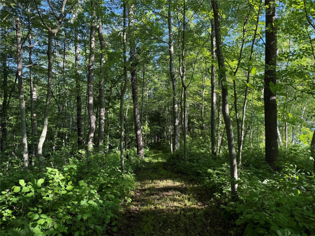 XXX Sathre Lane, Shell Lake WI 54871 - Land house for sale - MLS #1602131 - image20