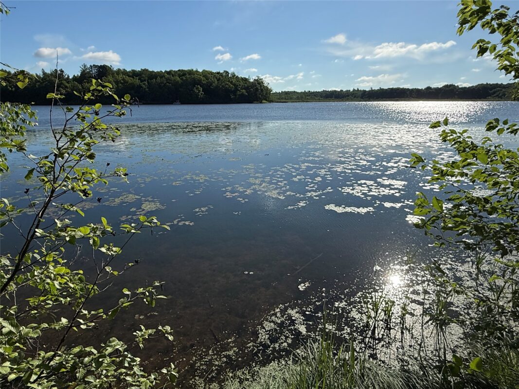 XXX Sathre Lane, Shell Lake WI 54871 - Land house for sale - MLS #1602131 - image3